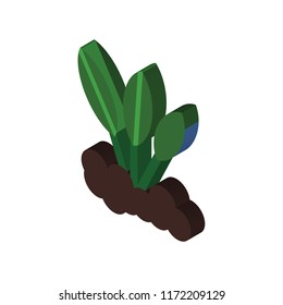 Sprout isometric left top view 3D icon