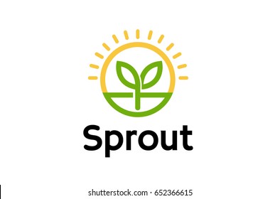 Sprout Leaf Circle Sun Logo  Design Illustration