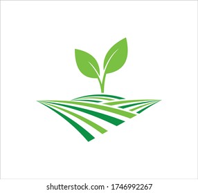Sprout Leaf Growing In The Farm Land Soil Vector Icon Logo Design Template For Agriculture, Food Crop, Hydroponic Nursery And Farm Business