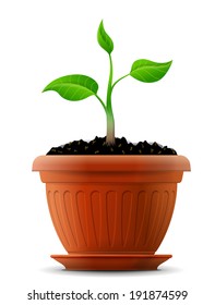 Sprout with leaves in flower pot. Growing plant in ground. Qualitative vector (EPS-10) illustration about growth, gardening, agriculture, flora, ecology, nature, etc