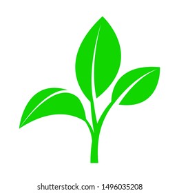 Sprout with leaves. Symbol of an environmentally friendly or rapidly degradable product that does not harm the environment. Vector illustration