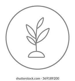 Sprout line icon.