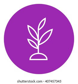 Sprout line icon.