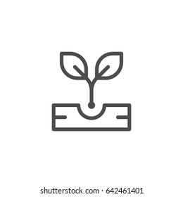 Sprout line icon