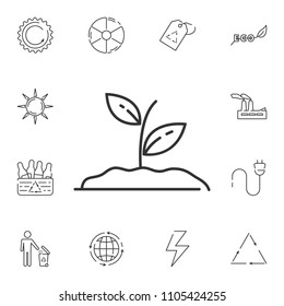 Sprout line icon. Simple element illustration. Sprout line symbol design from Ecology collection set. Can be used in web and mobile on white background