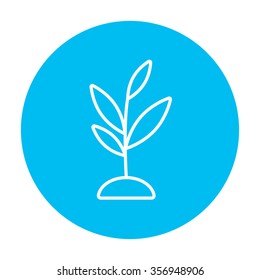 Sprout line icon for web, mobile and infographics. Vector white icon on the light blue circle isolated on white background.