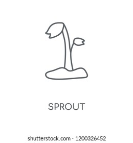 Sprout linear icon. Sprout concept stroke symbol design. Thin graphic elements vector illustration, outline pattern on a white background, eps 10.