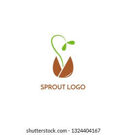 Sprout Logo Design