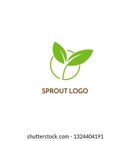 Sprout Logo Design
