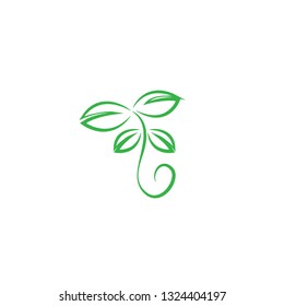 Sprout Logo Design