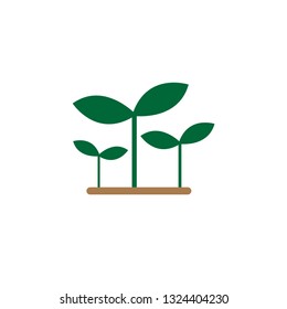 Sprout Logo Design