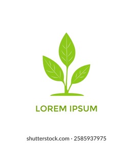 Sprout Logo Isolated White background. Vector Illustration.