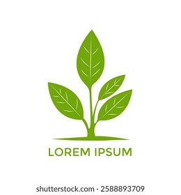 Sprout Logo Isolated White background. Vector Illustration.