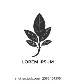 Sprout Logo Isolated White background. Vector Illustration.