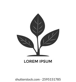 Sprout Logo Isolated White background. Vector Illustration.