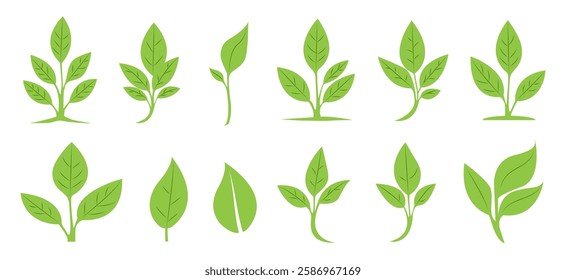 Sprout Logo Set Isolated White background. Vector Illustration.