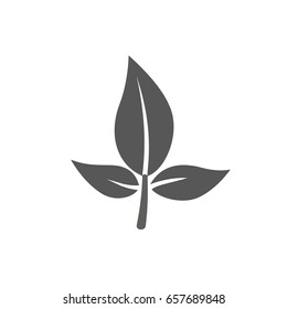  Sprout new life vector logo