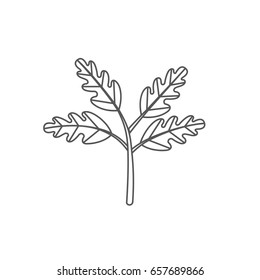  Sprout new life vector logo