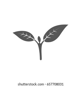 Sprout new life vector logo