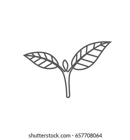 Sprout new life vector logo