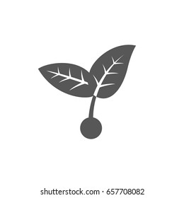 Sprout new life vector logo