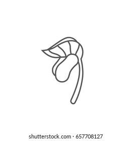 Sprout new life vector logo