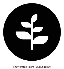 Icono plano de rama de planta de brote aislado en fondo blanco