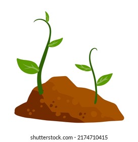 Sprout of plant in ground. Green leaves of young seedlings in soil. Flat cartoon illustration