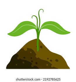 Sprout of plant in ground. Green leaves of young seedlings in soil. Flat cartoon illustration