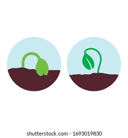 a sprout of a plant grows from the soil on a blue background in a circle  vector illustration 