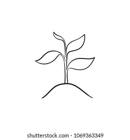 Icono de doodle dibujado a mano en la planta. Planta de crecimiento con hojas de dibujo vectorial ilustración para impresión, web, móviles e infografías aisladas en fondo blanco.