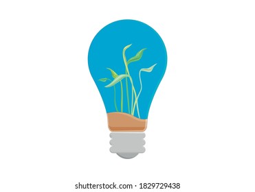 Sprout of a plant inside a light bulb.