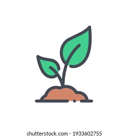 Sprout plant in soil with leaves color line icon. Seedling vector outline colorful sign.