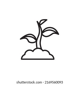 sprout plant. soil. Seedling icon vector illustration isolated on white background
