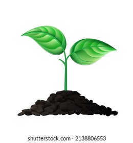 Sprout plant in soil with two leaves. Seedling realistic sign. Vector illustration isolated on white background