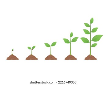 Sprout, plant, tree growing agriculture icons