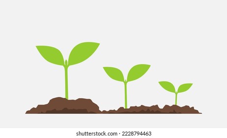 Sprout, plant, tree growing agriculture icons. Vector illustration in flat style.