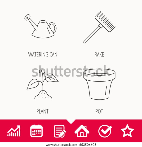 Plant Watering Chart