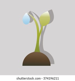 sprout plants with a water drop of dew