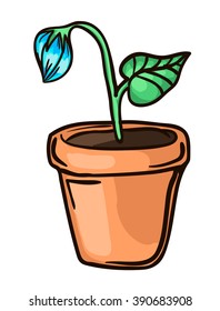 sprout in the pot