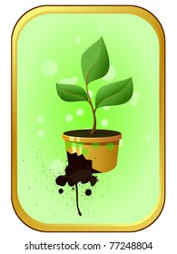 sprout in a pot
