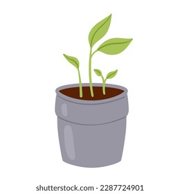 Sprout in pot. Potted houseplant, herbs in pot, gardening activity vector illustration