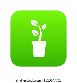 Sprout in pot in simple style isolated on white background vector illustration