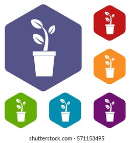 Sprout in pot in simple style isolated on white background vector illustration