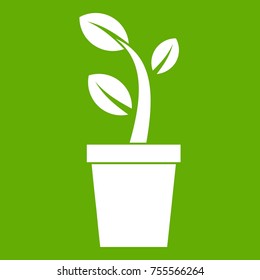 Sprout in pot in simple style isolated on white background vector illustration