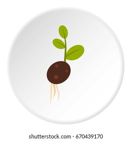 Sprout potatoes icon in flat circle isolated vector illustration for web