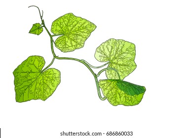 Sprout of pumpkin in mosaic style, isolated on white, vector illustration