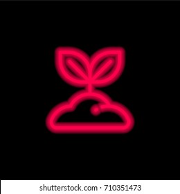Sprout red glowing neon ui ux icon. Glowing sign logo vector