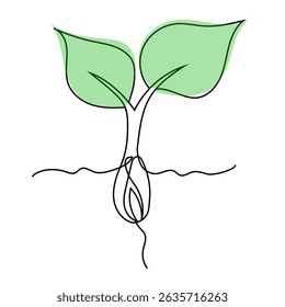 Sprout with roots illustration. Green leaves vector. Simple plant growth. Minimal line design.
