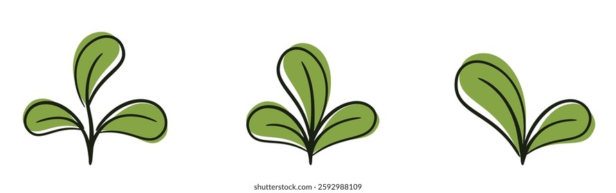 Sprout with rounded leaves illustrations. Spring, seedling and planting design elements. Isolated vector images